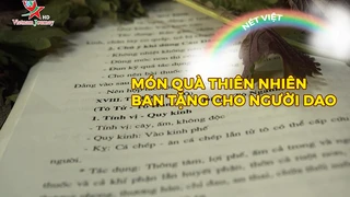 Món quà thiên nhiên ban tặng cho người Dao