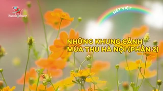 Những khung cảnh mùa thu Hà Nội (phần 2)