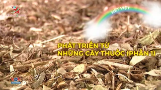 Phát triển từ những cây thuốc (phần 1)