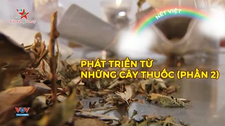 Phát triển từ những cây thuốc (phần 2)