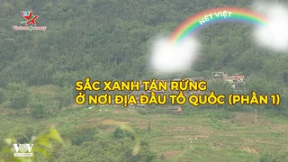 Sắc xanh tán rừng ở nơi địa đầu tổ quốc (phần 1)