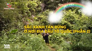 Sắc xanh tán rừng ở nơi địa đầu tổ quốc (phần 2)