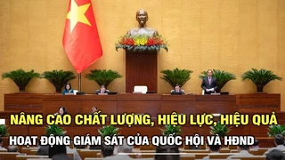 Nâng cao chất lượng, hiệu lực và hiệu quả hoạt động giám sát của Quốc hội và Hội đồng Nhân dân