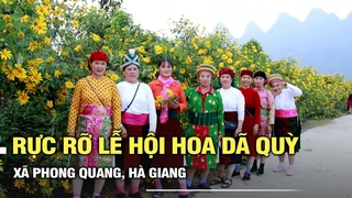 Rực rỡ lễ hội hoa Dã quỳ xã Phong Quang, Hà Giang