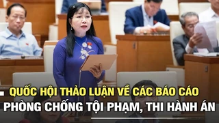 Quốc hội thảo luận về báo cáo phòng chống tội phạm, thi hành án và giải quyết kiến nghị của cử tri