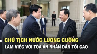 Chủ tịch nước Lương Cường làm việc với Tòa án Nhân dân Tối cao