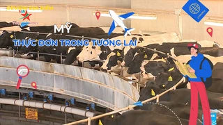Thực đơn trong tương lai