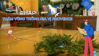 Thăm vùng trồng gia vị Provence