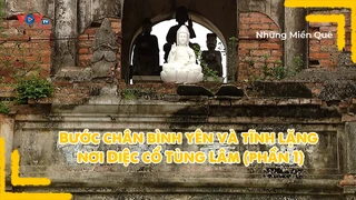 Bước chân bình yên và tĩnh lặng nơi Diệc cổ Tùng Lâm (phần 1)