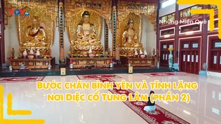 Bước chân bình yên và tĩnh lặng nơi Diệc cổ Tùng Lâm (phần 2)