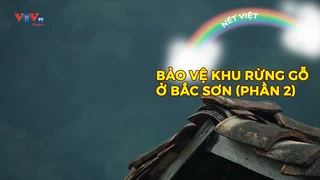 Bảo vệ khu rừng gỗ ở Bắc Sơn (phần 2)