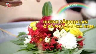 Hương sắc hoa lan ở xã Phù Vân - Hà Nam