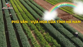 Phù Vân - Vựa hoa của tỉnh Hà Nam