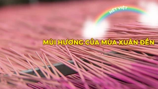 Mùi hương của mùa xuân đến