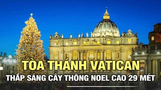 Tòa thánh Vatican thắp sáng cây thông Noel cao 29 mét