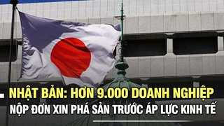 Nhật Bản: Hơn 9.000 doanh nghiệp nộp đơn xin phá sản trước áp lực kinh tế
