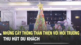 Những cây thông thân thiện với môi trường thu hút du khách