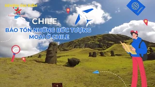 Bảo tồn những bước tượng Moai ở Chile