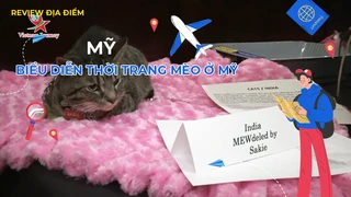 Biểu diễn thời trang mèo ở Mỹ