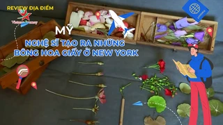 Nghệ sĩ tạo ra những bông hoa giấy ở New York