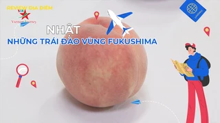 Những trái đào vùng Fukushima