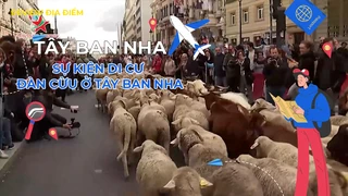 Sự kiện di cư đàn cừu ở Tây Ban Nha