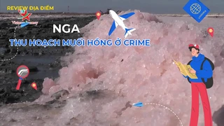 Thu hoạch muối hồng ở Crime