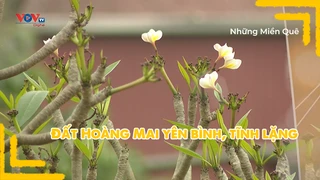 Đất Hoàng Mai yên bình, tĩnh lặng