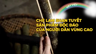 Chè lam shan tuyết - Sản phẩm độc đáo của người dân vùng cao