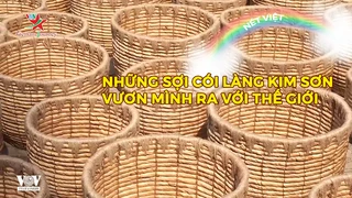 Những sợi cói làng Kim Sơn vươn mình ra với thế giới