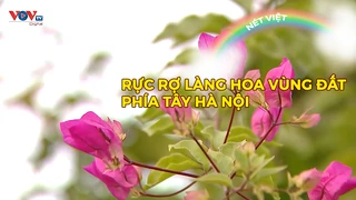 Rực rỡ làng hoa vùng đất phía tây Hà Nội