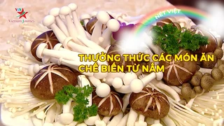 Thưởng thức các món ăn chế biến từ nấm