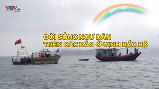 Đời sống ngư dân trên các đảo ở Vịnh Bắc Bộ
