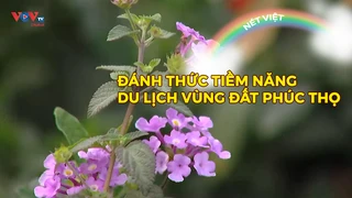 Đánh thức tiềm năng du lịch vùng đất Phúc Thọ
