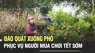 Đào quất xuống phố phục vụ người mua chơi Tết sớm
