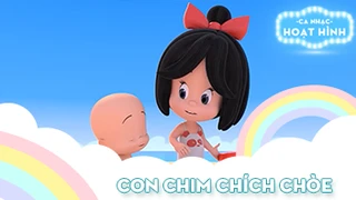 Ca nhạc Con chim chích chòe