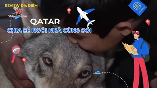 Chia sẻ ngôi nhà cùng sói