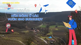Mùa đông ở các vườn nho Burgundy
