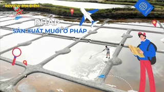 Sản xuất muối ở Pháp