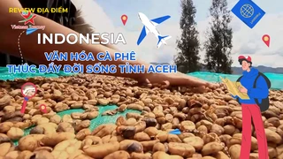Văn hóa cà phê thúc đẩy đời sống tỉnh Aceh
