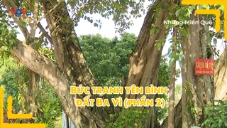 Bức tranh yên bình đất Ba Vì (phần 2)