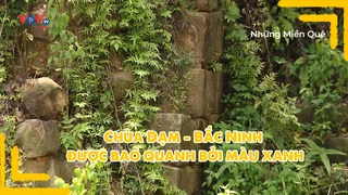 Chùa Dạm - Bắc Ninh được bao quanh bởi màu xanh