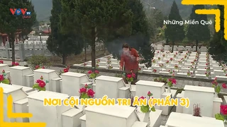Nơi cội nguồn tri ân (phần 3)