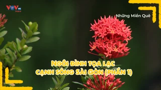 Ngôi đình tọa lạc cạnh sông Sài Gòn (phần 1)