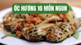 Sáng tạo món ngon từ Ốc Hương và Sò Huyết p4