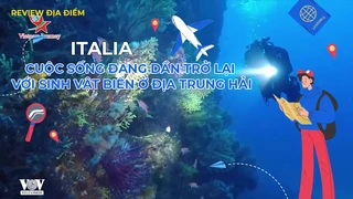 Cuộc sống đang dần trở lại với sinh vật biển ở Địa Trung Hải