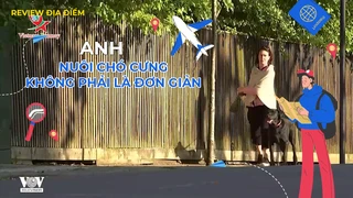 Nuôi chó cưng không phải là đơn giản
