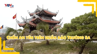 Chốn an yên trên quần đảo Trường Sa