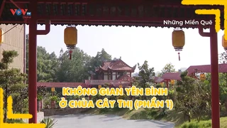 Không gian yên bình ở chùa Cây Thị (phần 1)