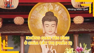 Không gian yên bình ở chùa Cây Thị (phần 2)